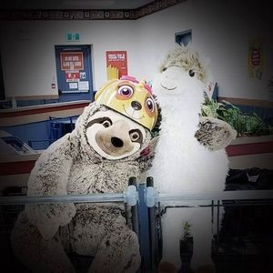 Meet your Posher, Chris